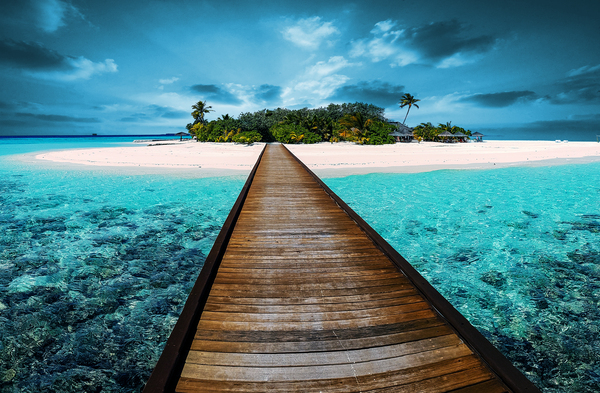 Paradise by Vibrant Canvases