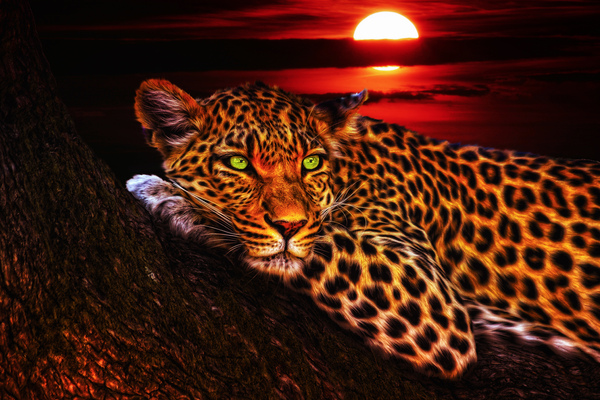 leaopard oil paint by Vibrant Canvases