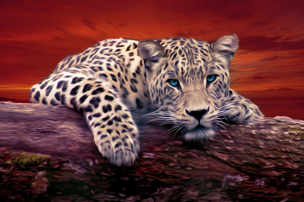 Oil Paint Cheetah by Vibrant Canvases