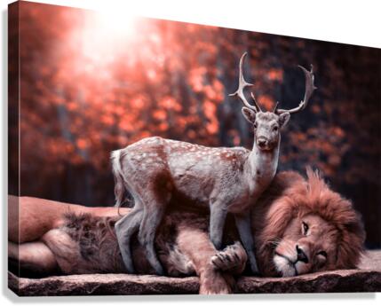 lion and deer Canvas Print