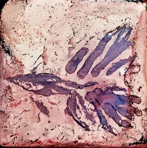 Caught in a Fossil