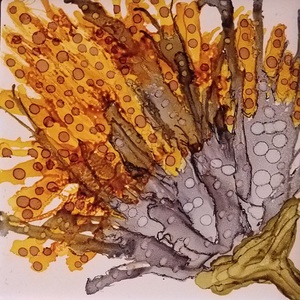 Yellow Submarine Sunflower