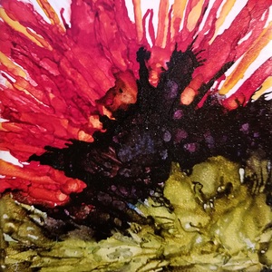 Bloodstone Poppy