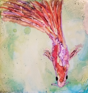 It Swims