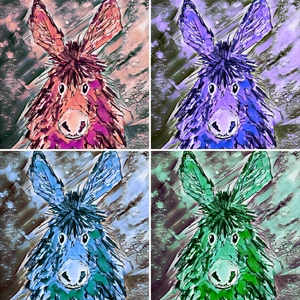 1 Clarence x 4
