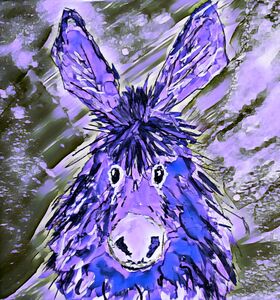 Clarence in Purple