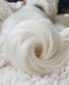 PuppyTail