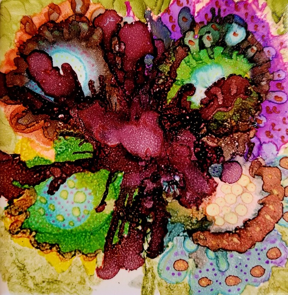 Cardinal Petunia Print