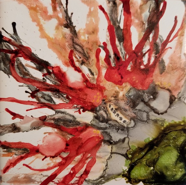 Crimson Firebloom Print