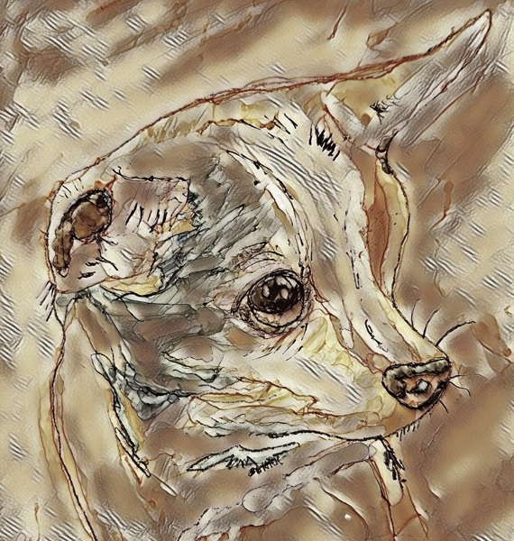 Coki Print
