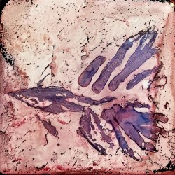 Caught in a Fossil