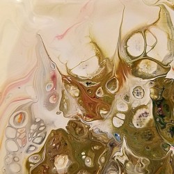 Veiled Visions