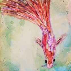 It Swims