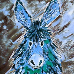 Clarence in Blue
