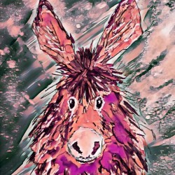 Clarence in Pink