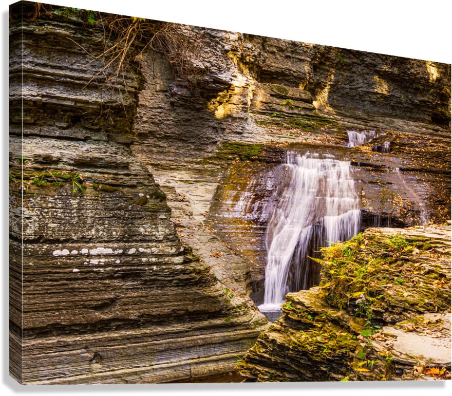 FLA 004 Canvas Print