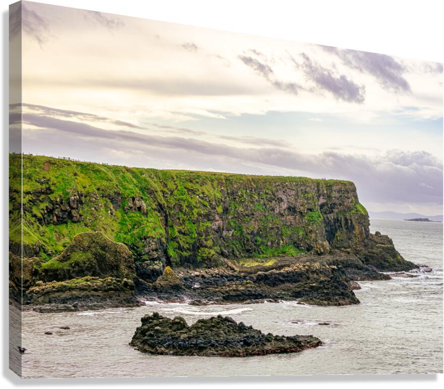 IRL 023 Canvas Print