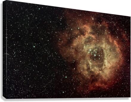 Rosette Nebula Canvas Print