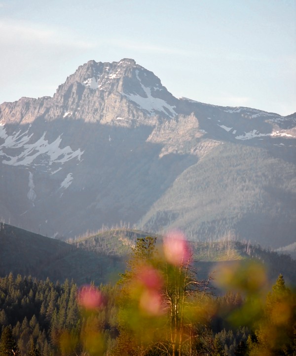 Cowboy by Amanda Corcoran