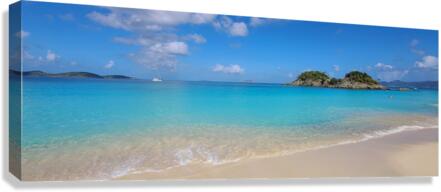 Pic Canvas Print