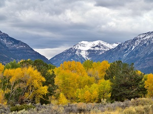 South Fork Splendor