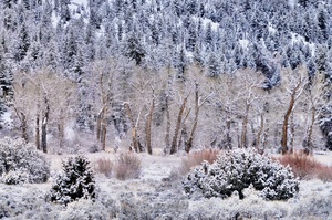 Another Winter Day