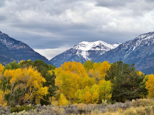 South Fork Splendor by Laura A Carpenter