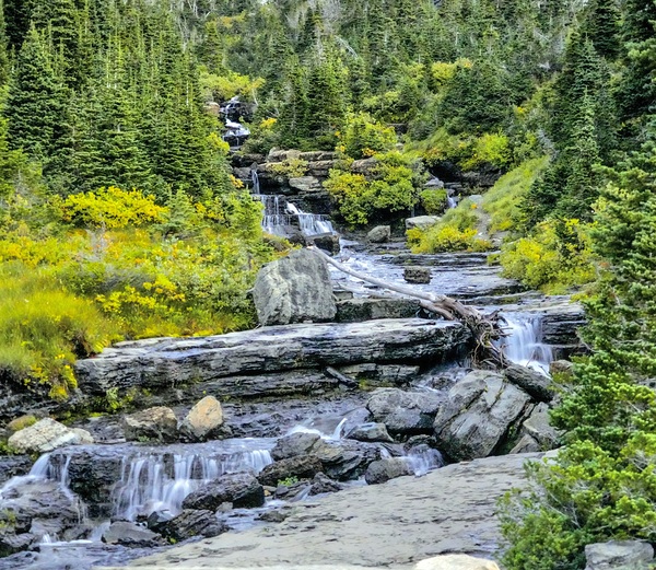 Serenity in GNP by Laura A Carpenter