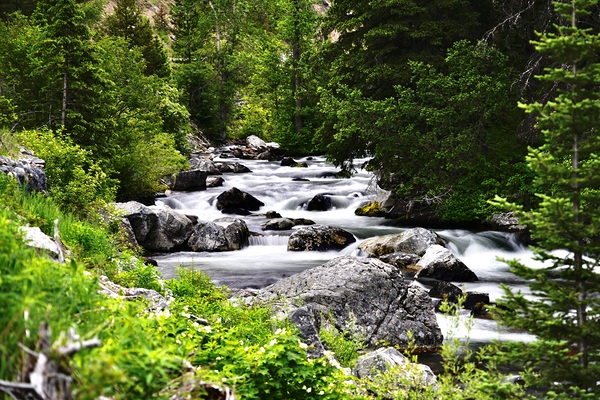 Hyalite Canyon by Laura A Carpenter