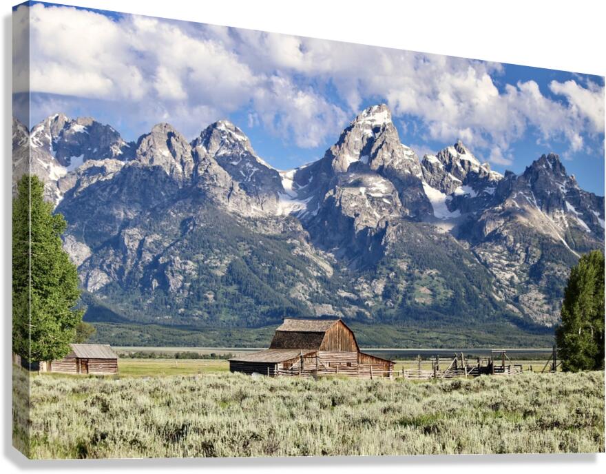 From a Distance Canvas Print