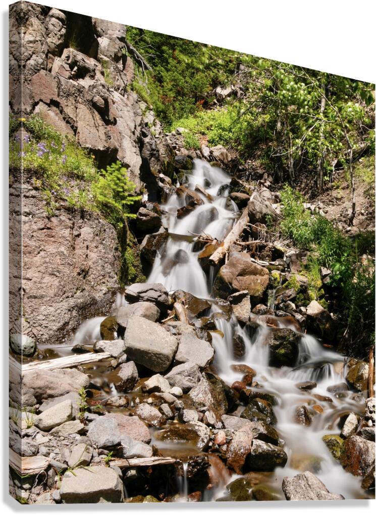 Falling Canvas Print