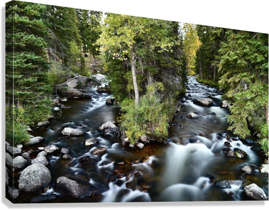 Decision Canvas Print