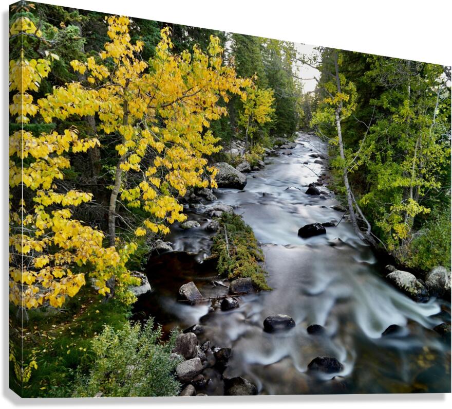 Faith Canvas Print