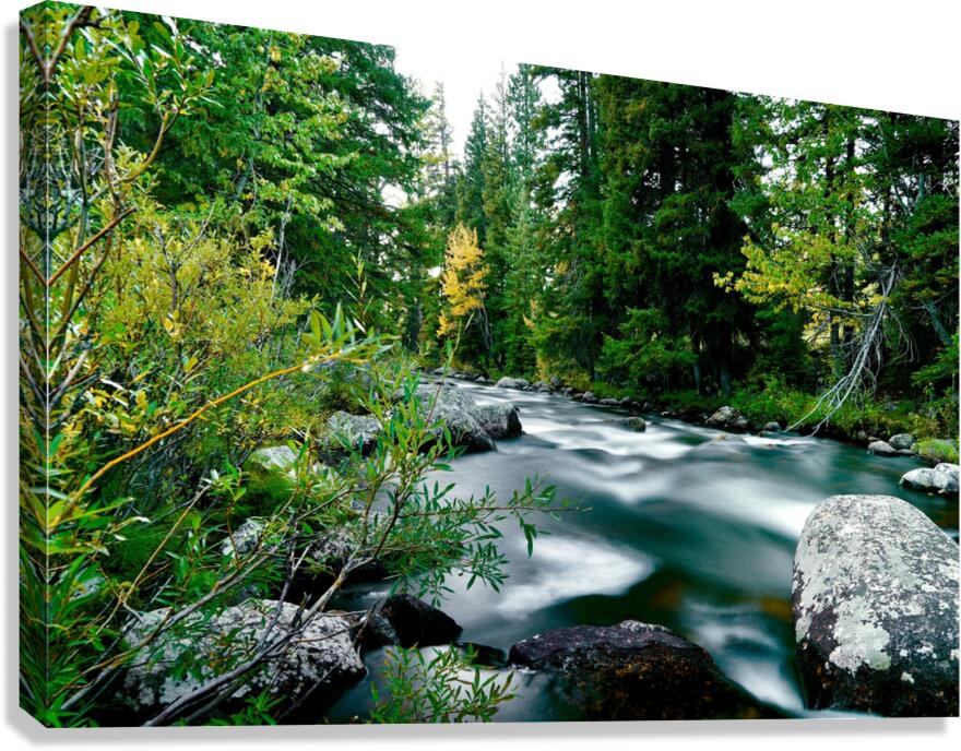 Courage Canvas Print