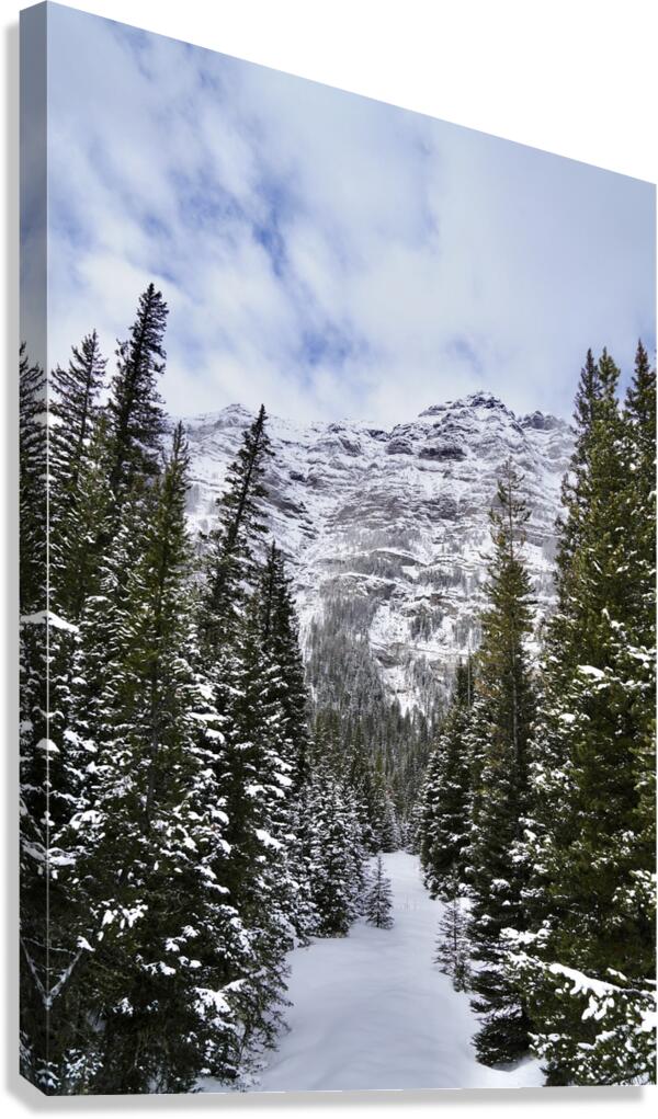 Journey Canvas Print