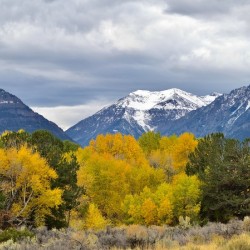 South Fork Splendor