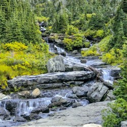 Serenity in GNP