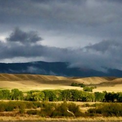 Montana
