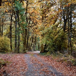 Down the Road