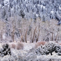 Another Winter Day