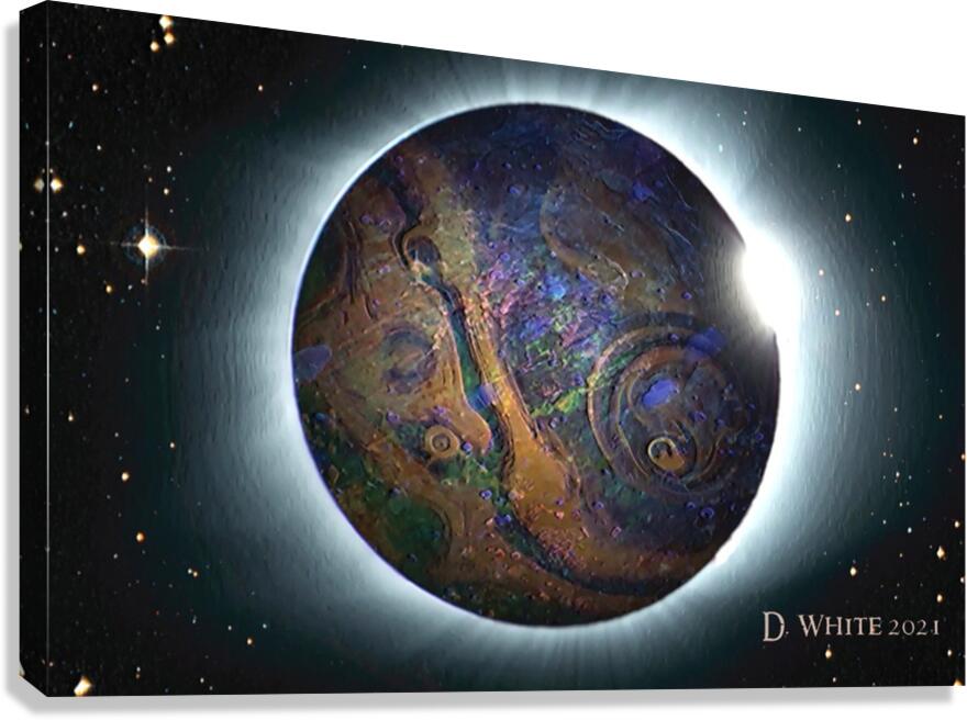 niburu Canvas Print