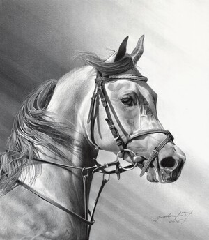 ARABIAN BEAUTY
