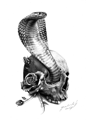 COBRA