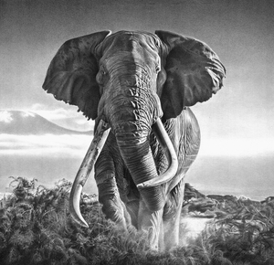 GIGANT