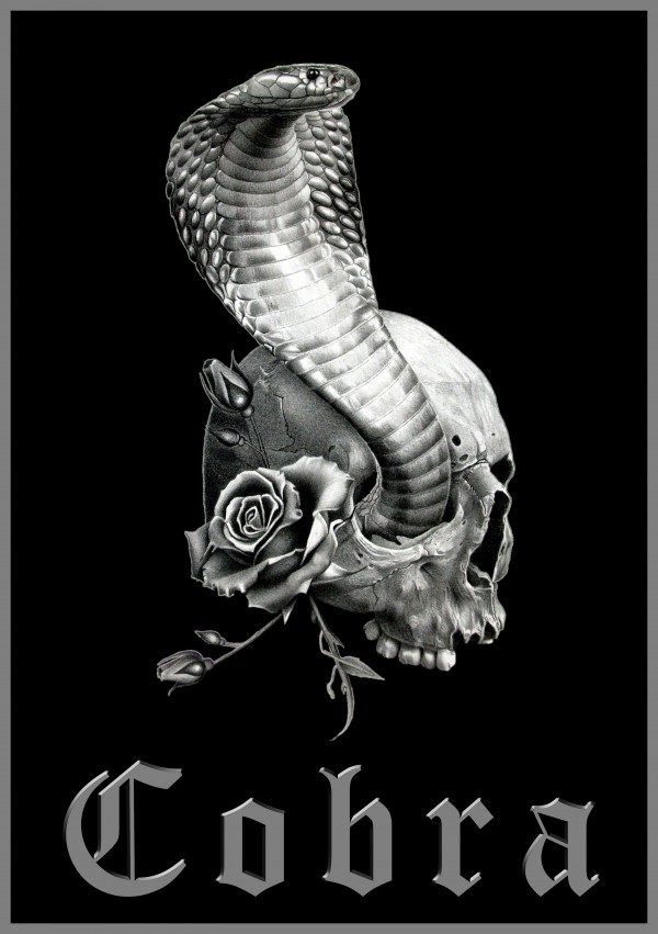 COBRA 3 by Miro Gradinscak
