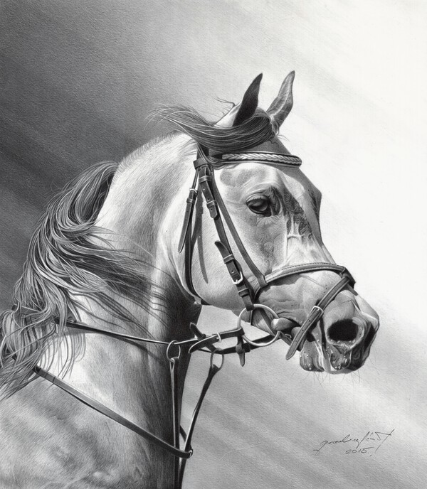 ARABIAN BEAUTY by Miro Gradinscak