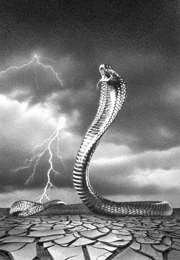THE STORM IS COMING Print