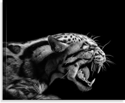 ANGER  Impression sur toile