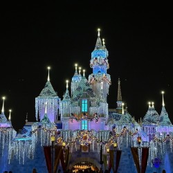 Disneyland Castle