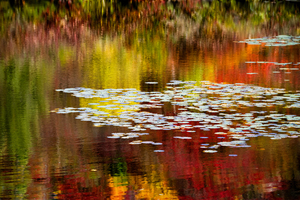 Autumn Reflections